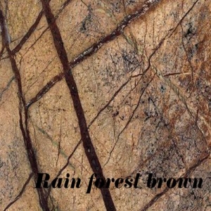 rain forest braun_výsledok