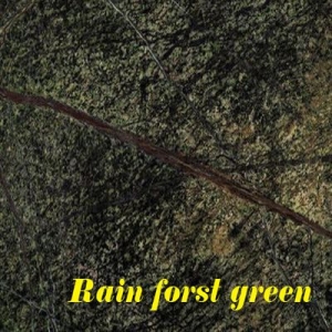 rain forest green_výsledok